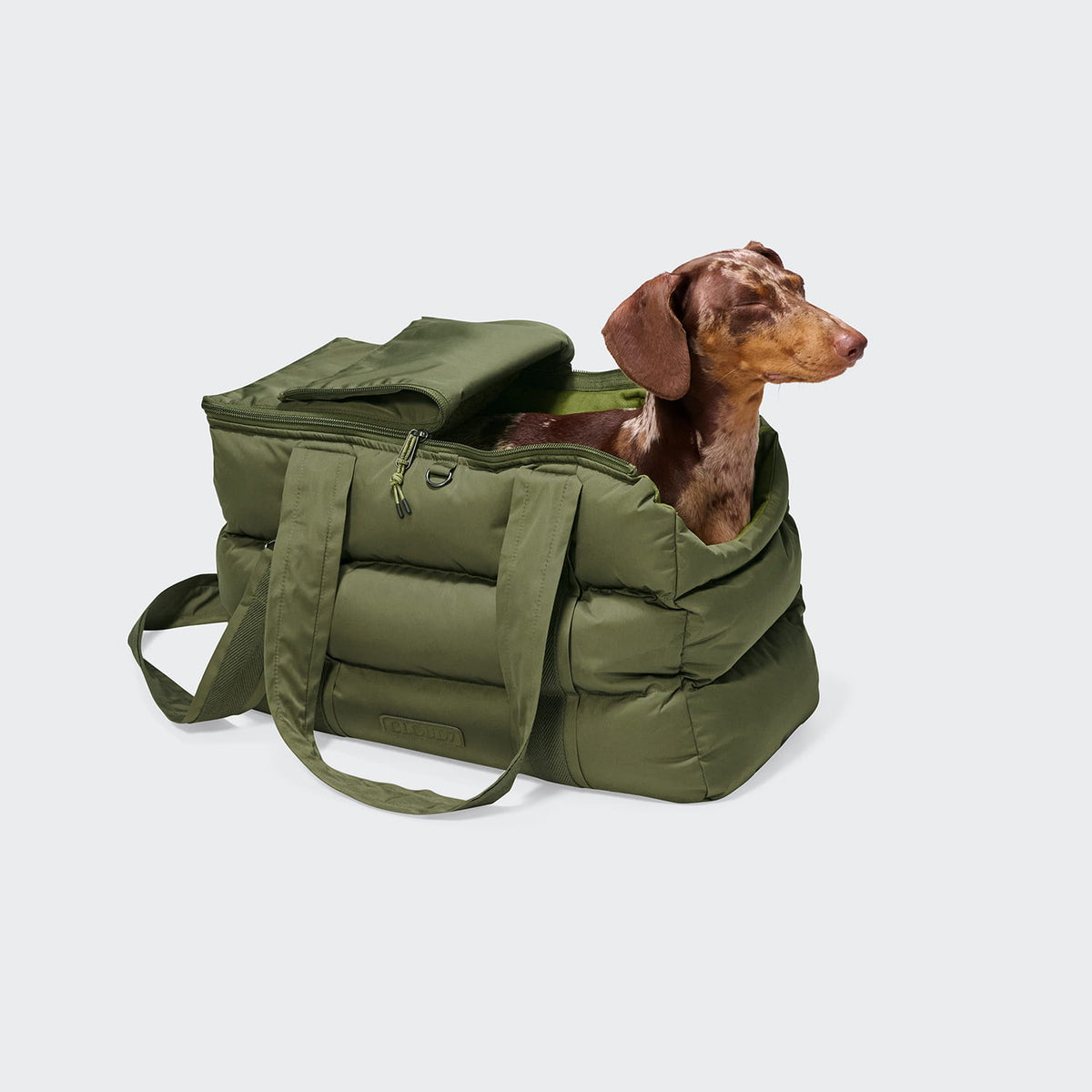 Hundetasche Montreal 2.0 Light Olive