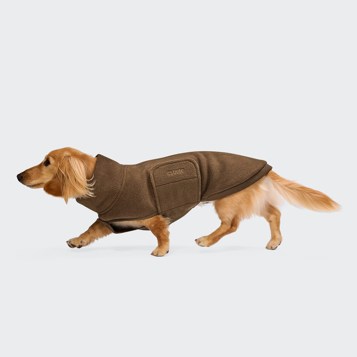 Hundepullover Derby DACKEL 2.0 Soft Fleece Coffee