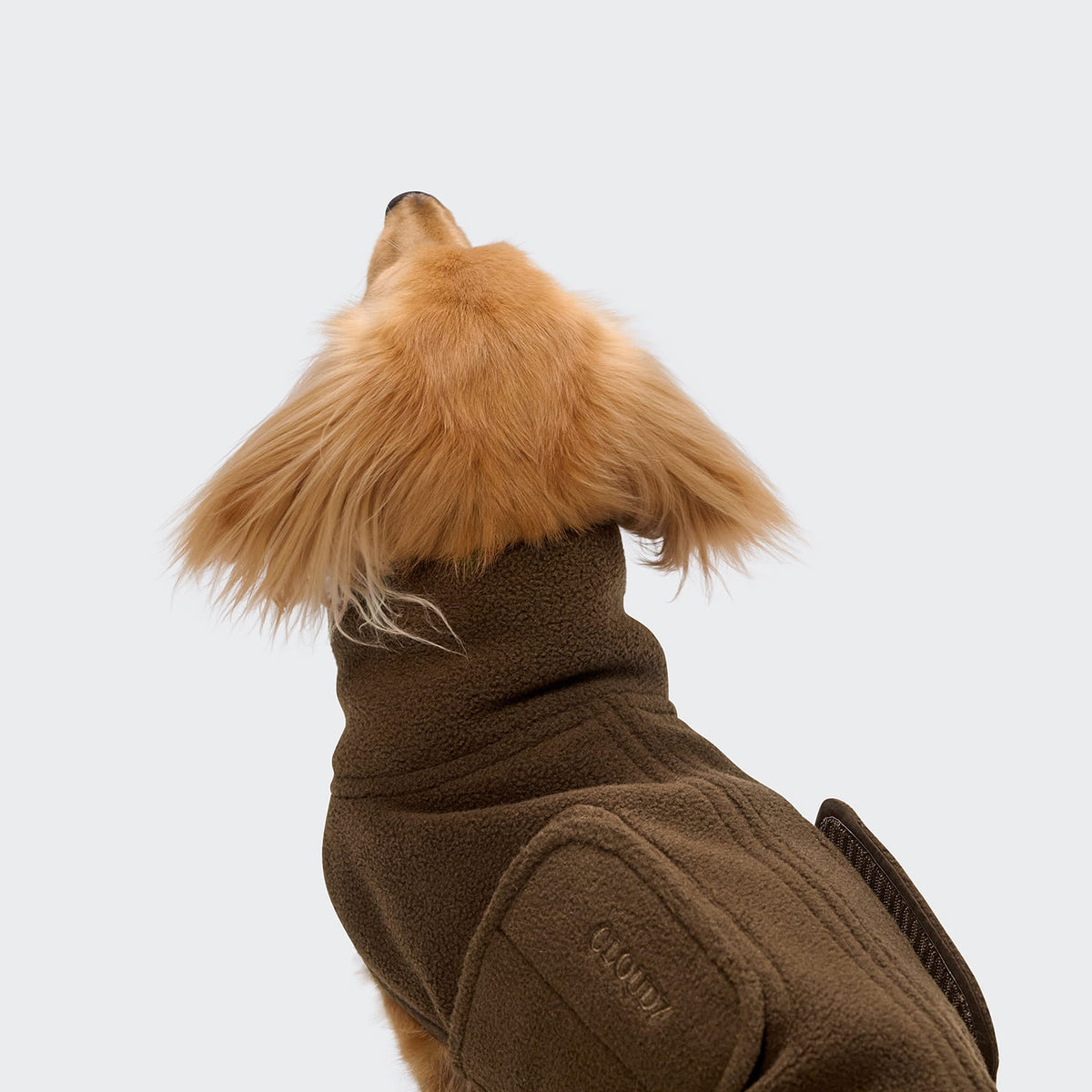 Hundepullover Derby DACKEL 2.0 Soft Fleece Coffee