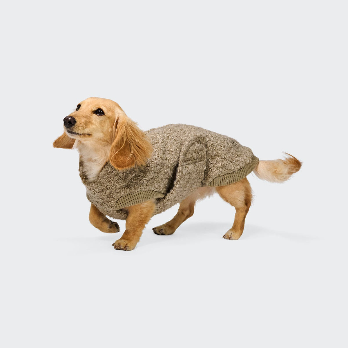Hundepullover Gotland DACKEL Sandy Brown