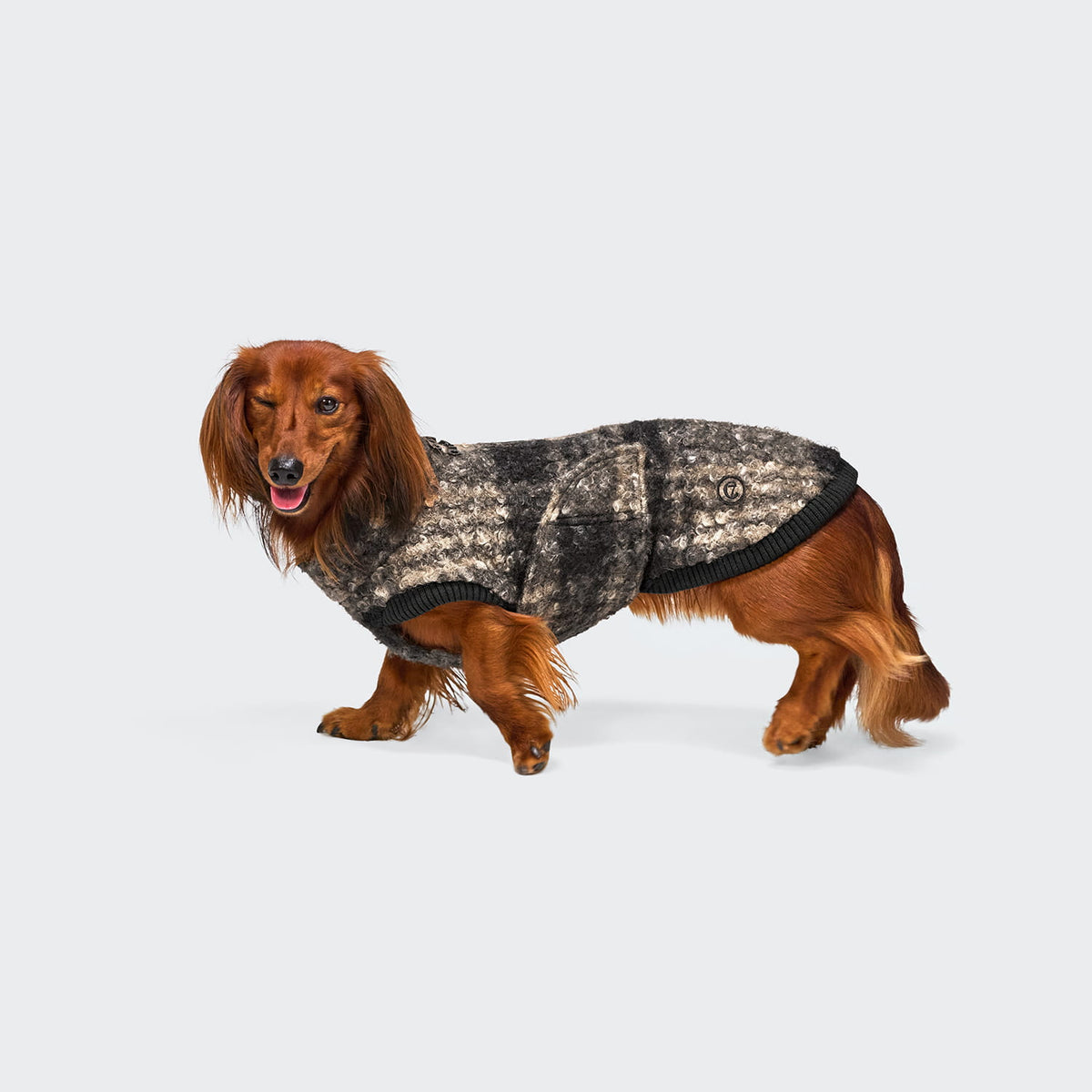 Hundepullover Gotland DACKEL Tartan