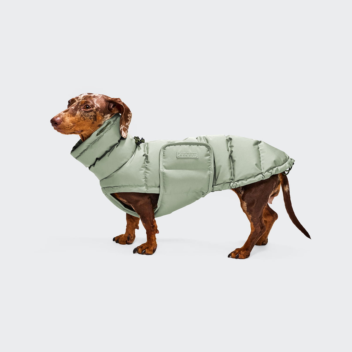 Hundemantel DACKEL Alaska Dusty Mint