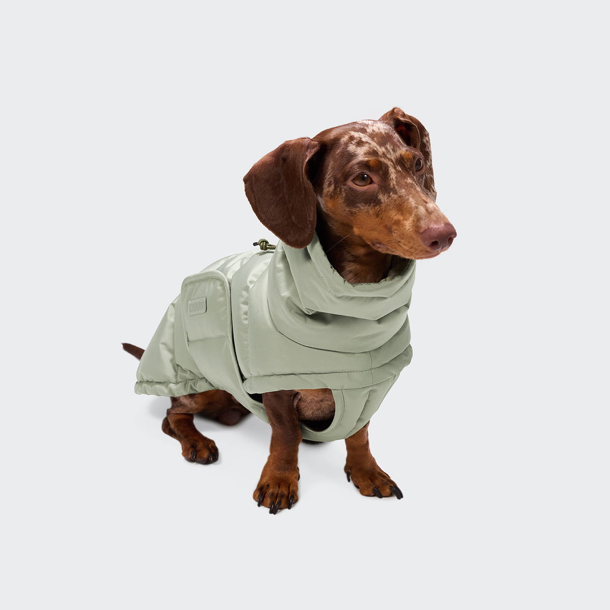 Hundemantel DACKEL Alaska Dusty Mint