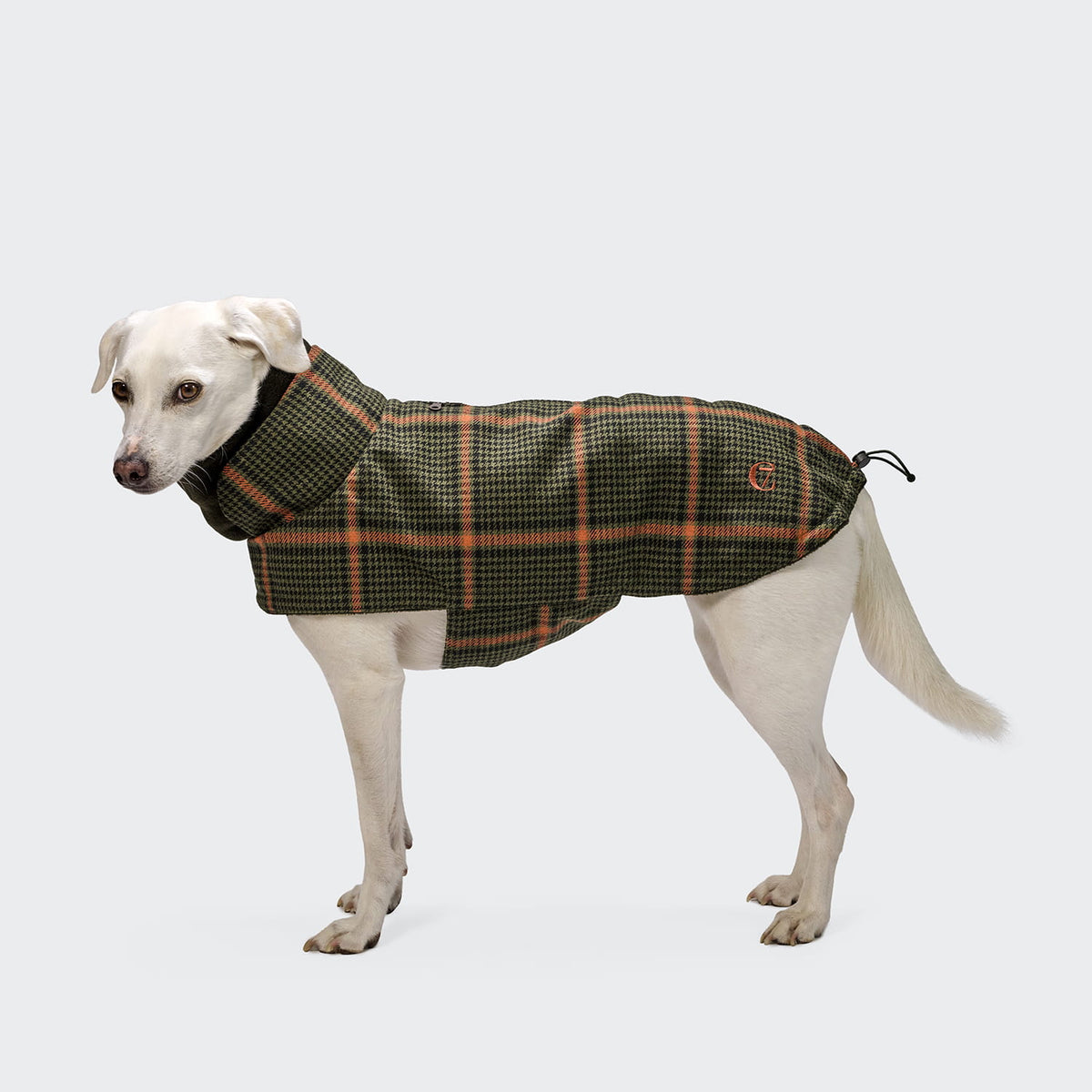 Hundemantel Brooklyn Tartan Green