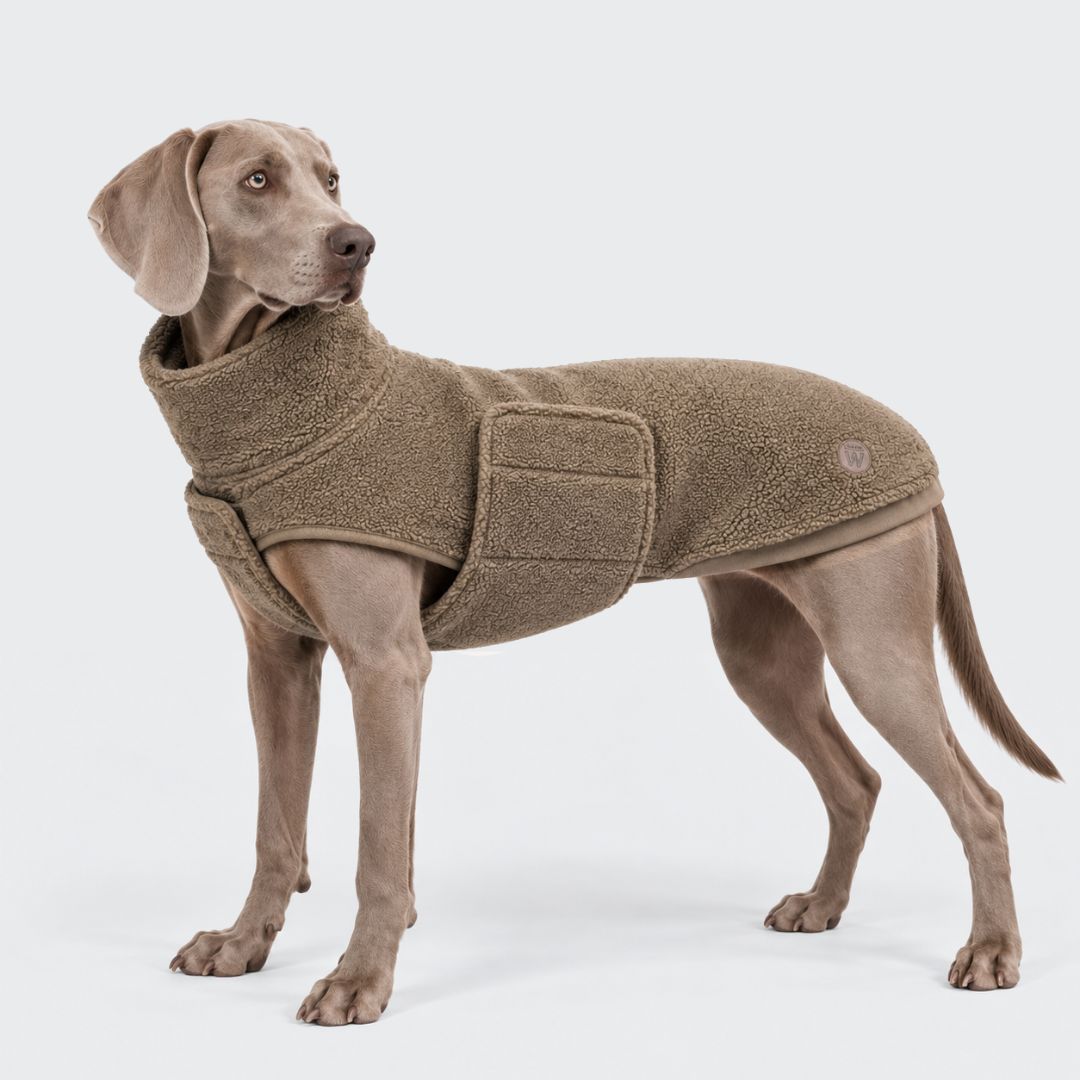 C7xWoofstuff-Hundepullover-Derby-Plush-Taupe-Hund