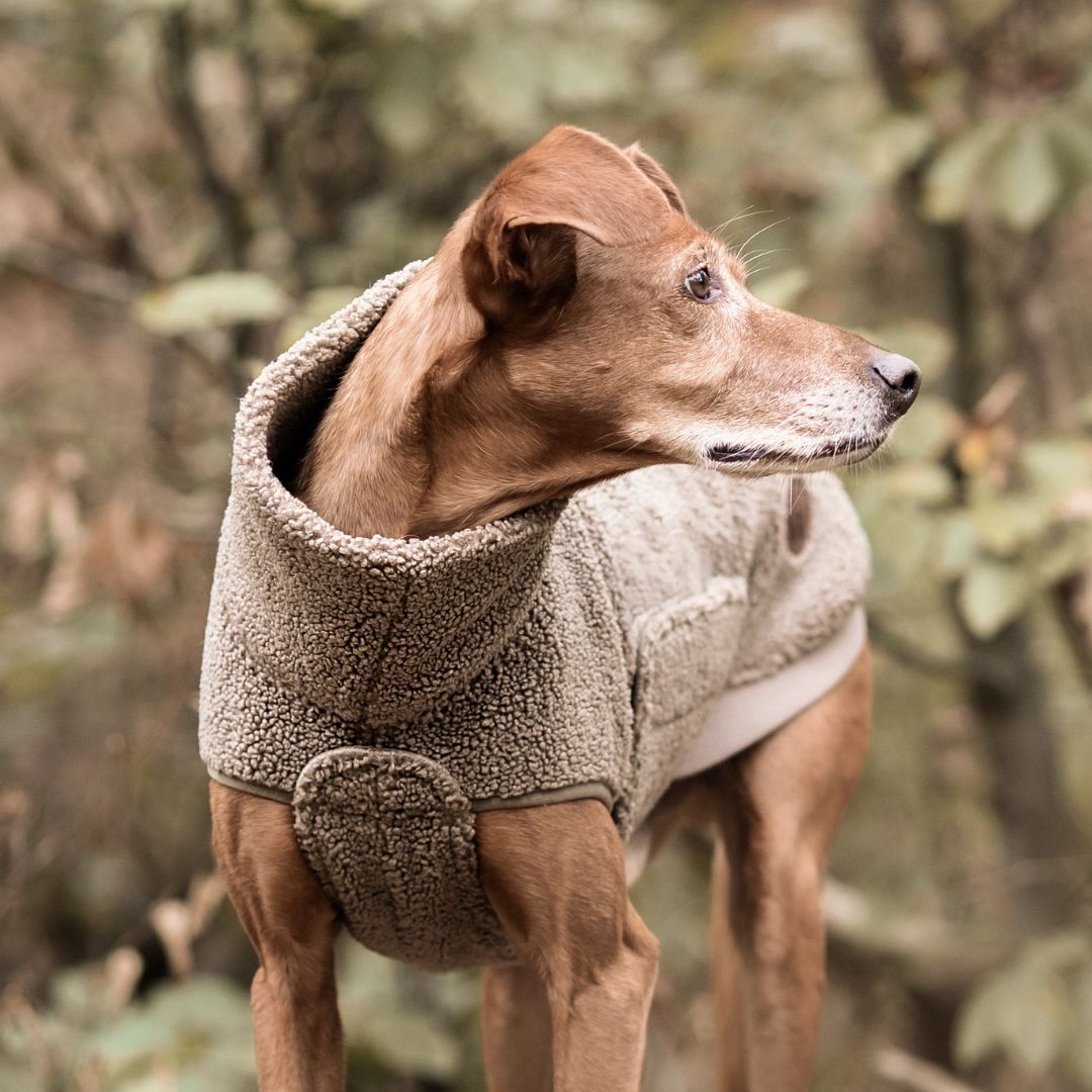 C7xWoofstuff-Hundepullover-Derby-Plush-Taupe-Hund2