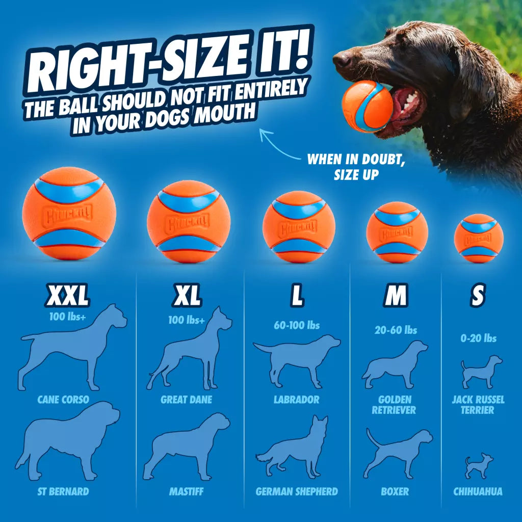 Chuckit-Ultra-Ball-Sizes