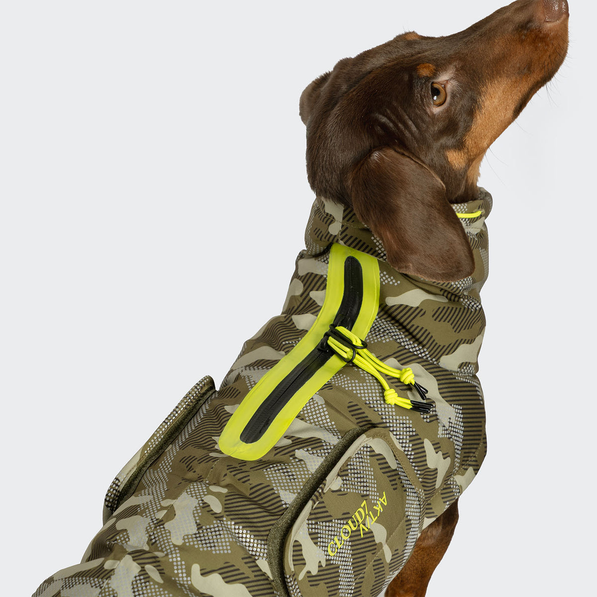 Cloud7-AKTIV-Alaska-Dackel-Camo-Detail
