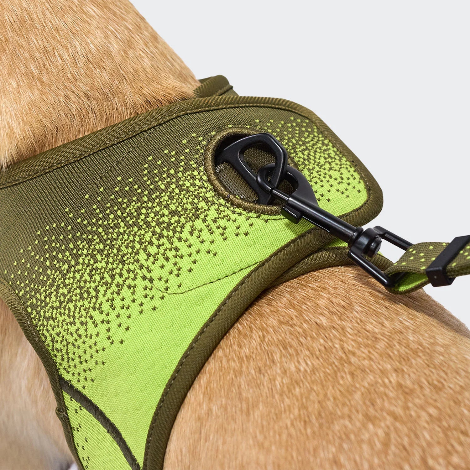 Cloud7-AKTIV-Hundegeschirr-V-3-NeonGreen-2