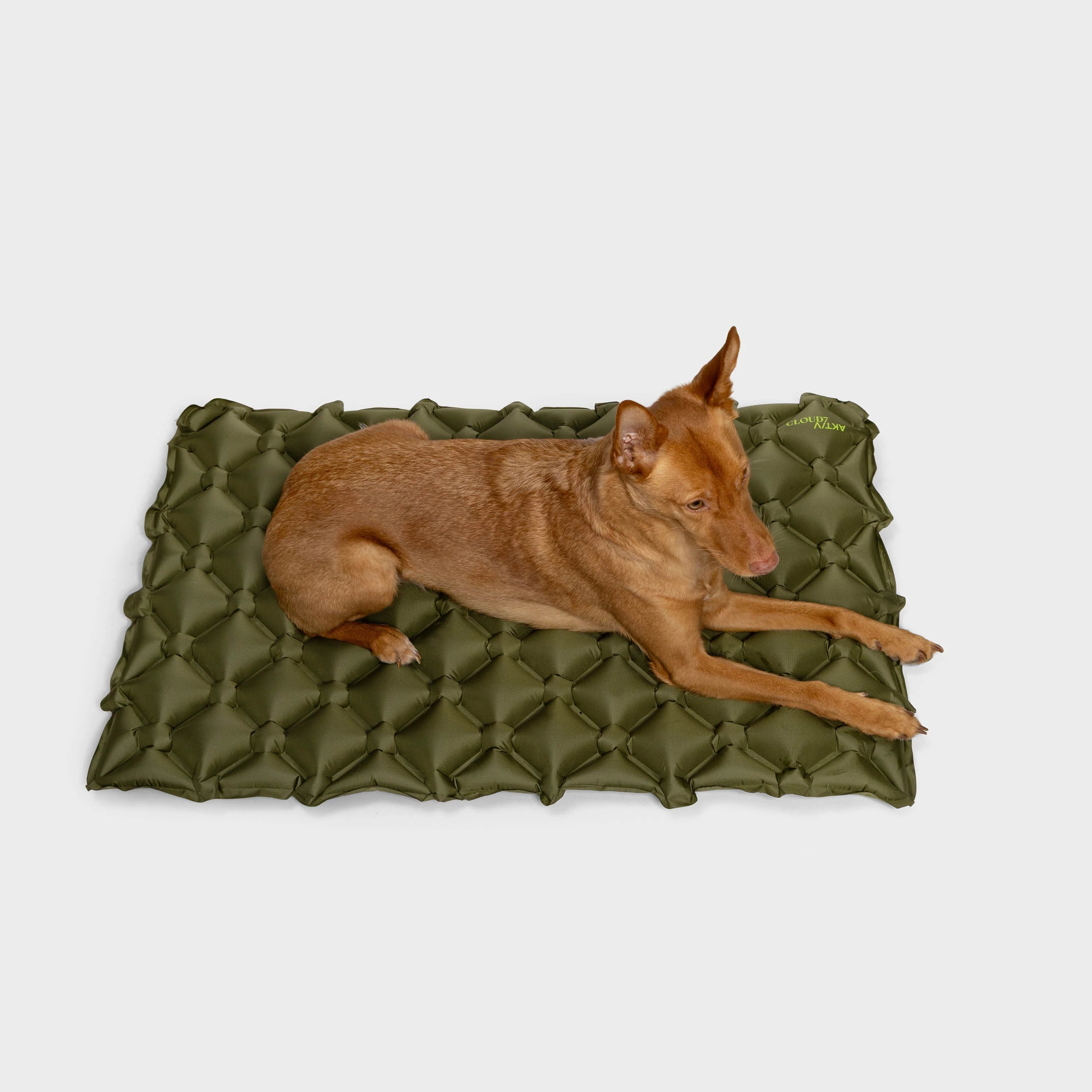 Cloud7-AKTIV-Hundereisematte-Air-Khaki-L