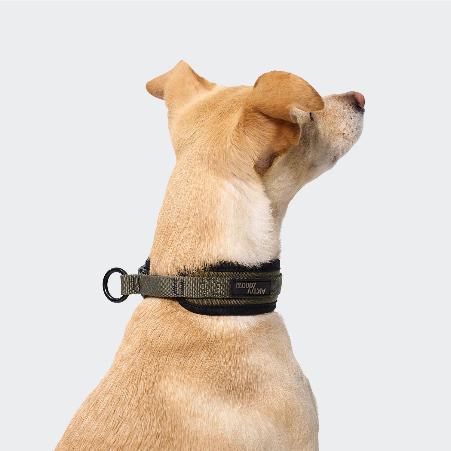 Cloud7-C1-Zugstopp-Halsband-AKTIV-Olive-2