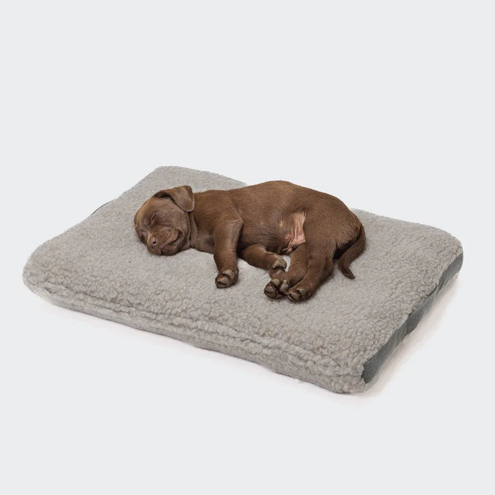 Hundebett - Siesta - Cloud7 - Teddy