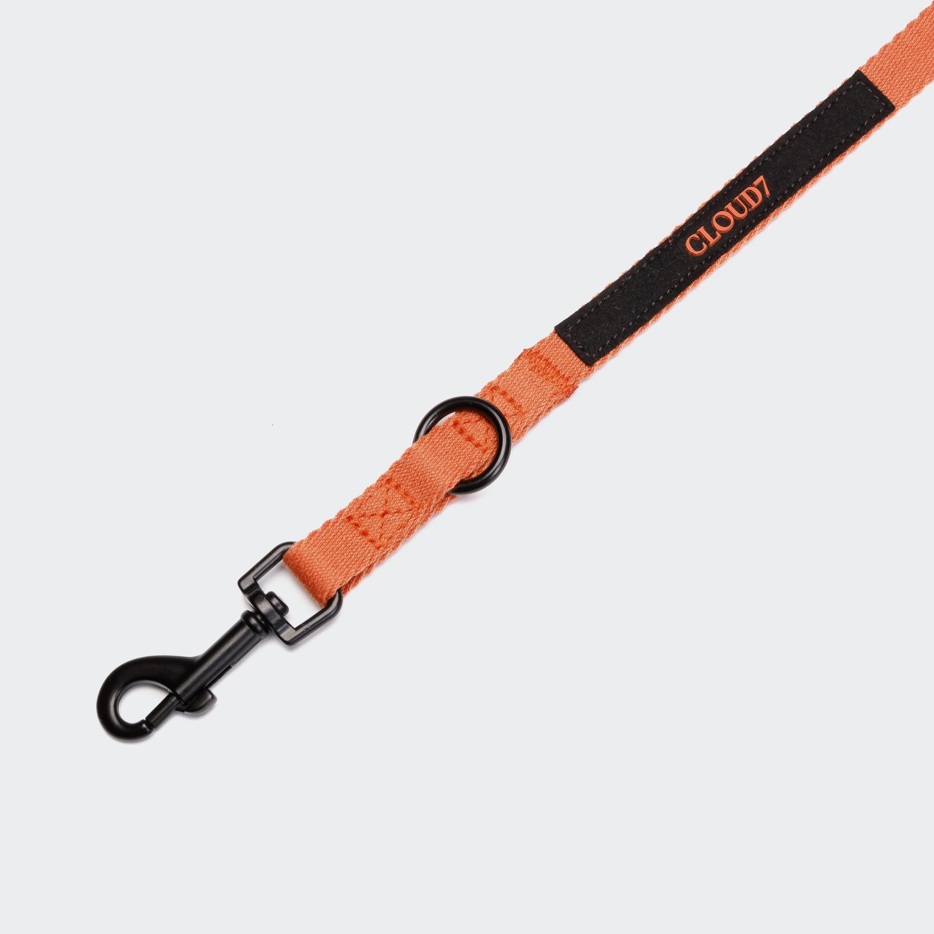 Cloud7-Hundeleine-Holly-Park-Orange-Logo