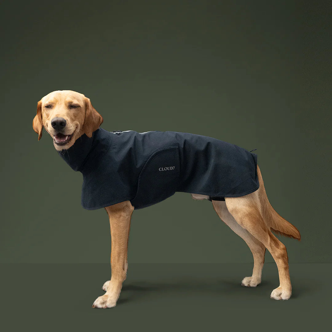 Cloud7-Hunderegenmantel-Helgoland-Navy-Hund