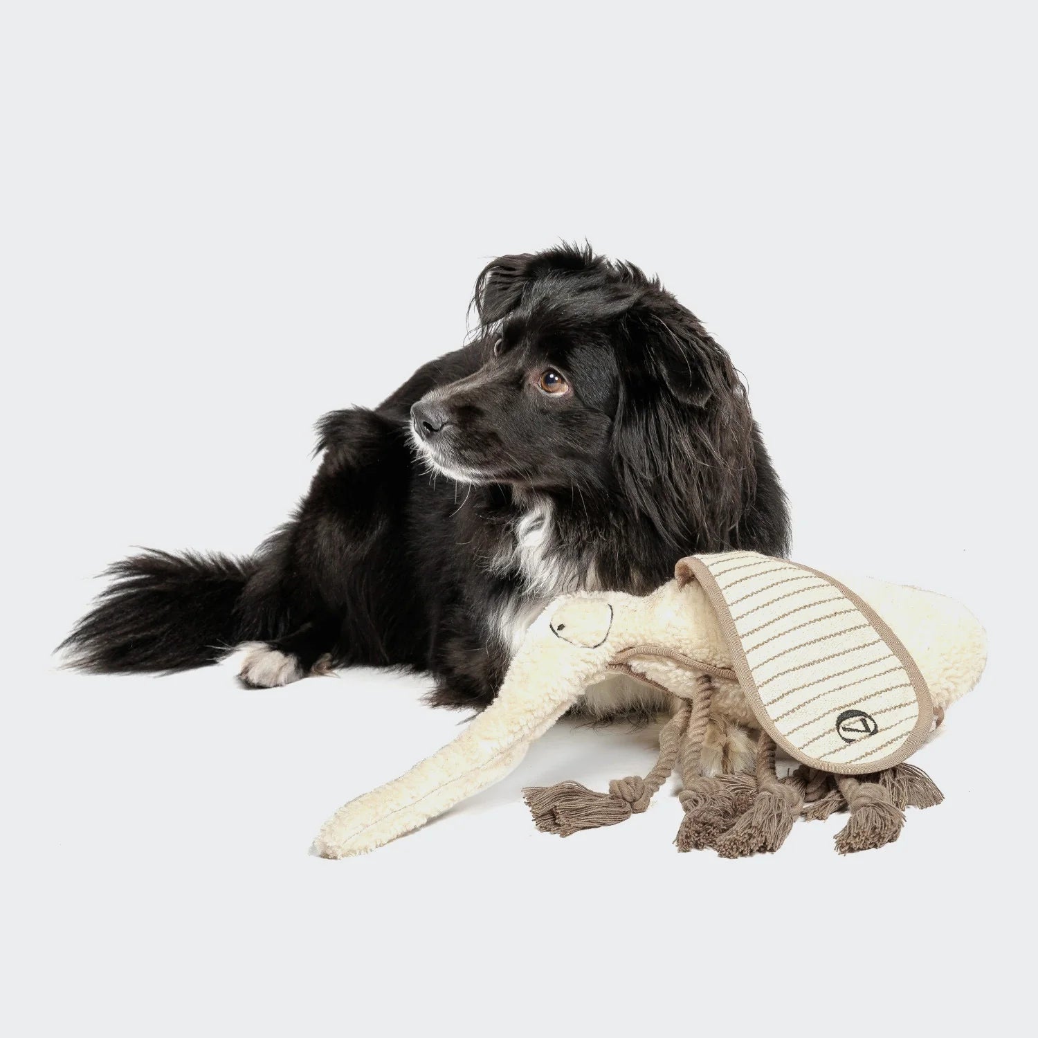 Cloud7-Hundespielzeug-Mosquito-Momo-Mood