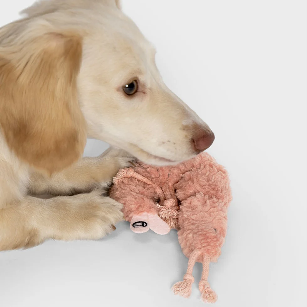 Cloud7-Hundespielzeug-Shrimp-Susi-Hund
