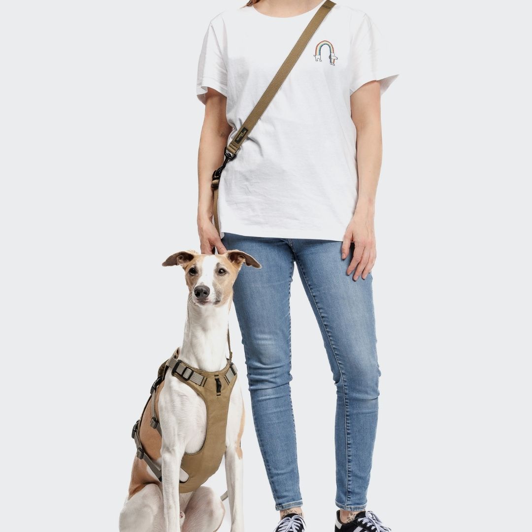 Cloud7-L-1-Freihandleine-AKTIV-Khaki/Grey-Hund