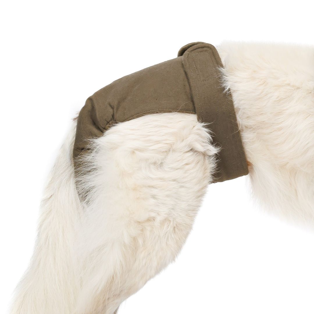 Cloud7-Woofstuff-Laeufigkeitshoeschen-Olive-Detail2