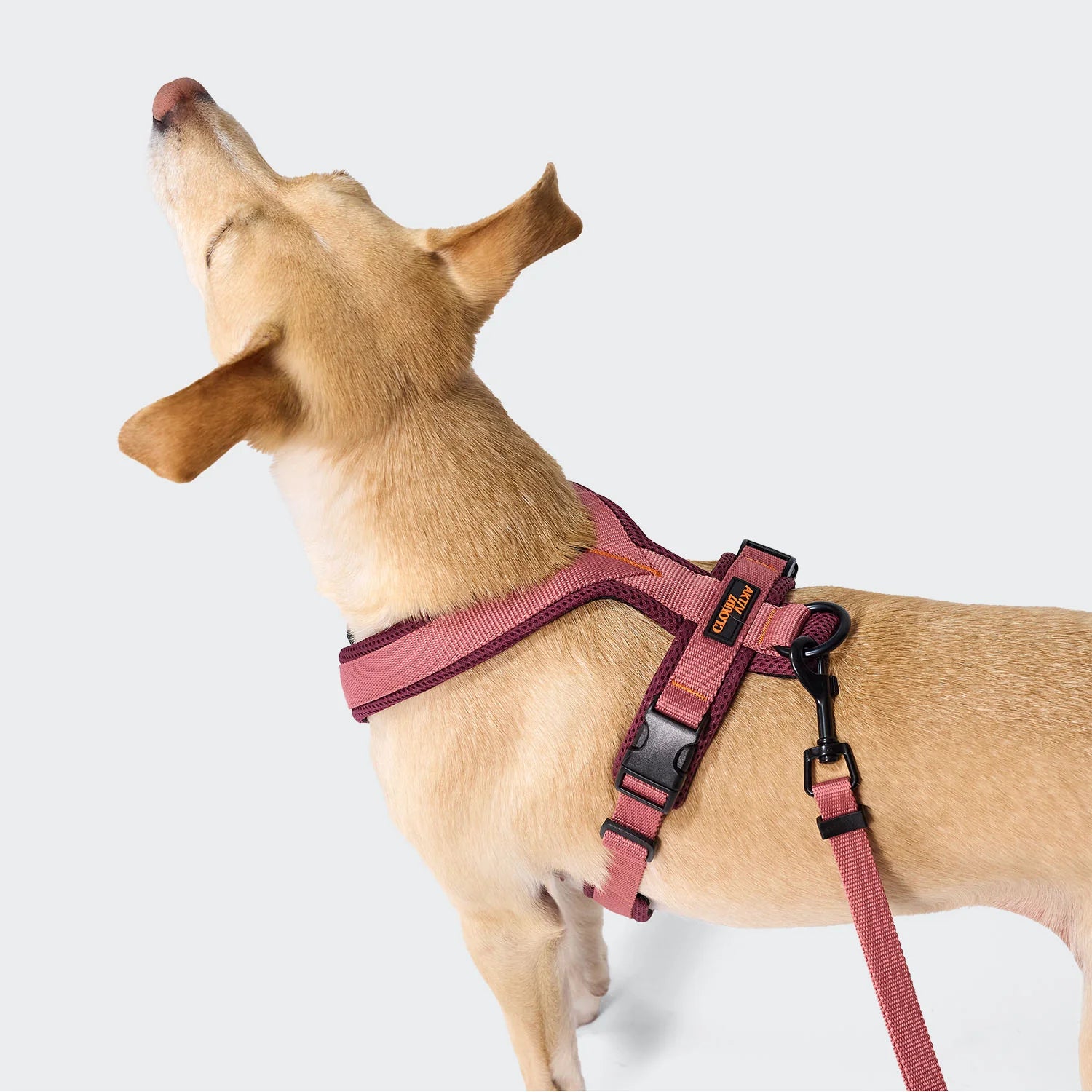 Cloud7-Y-1-Hundegeschirr-AKTIV-Air-Mesh-Aubergine-SoftRose-3