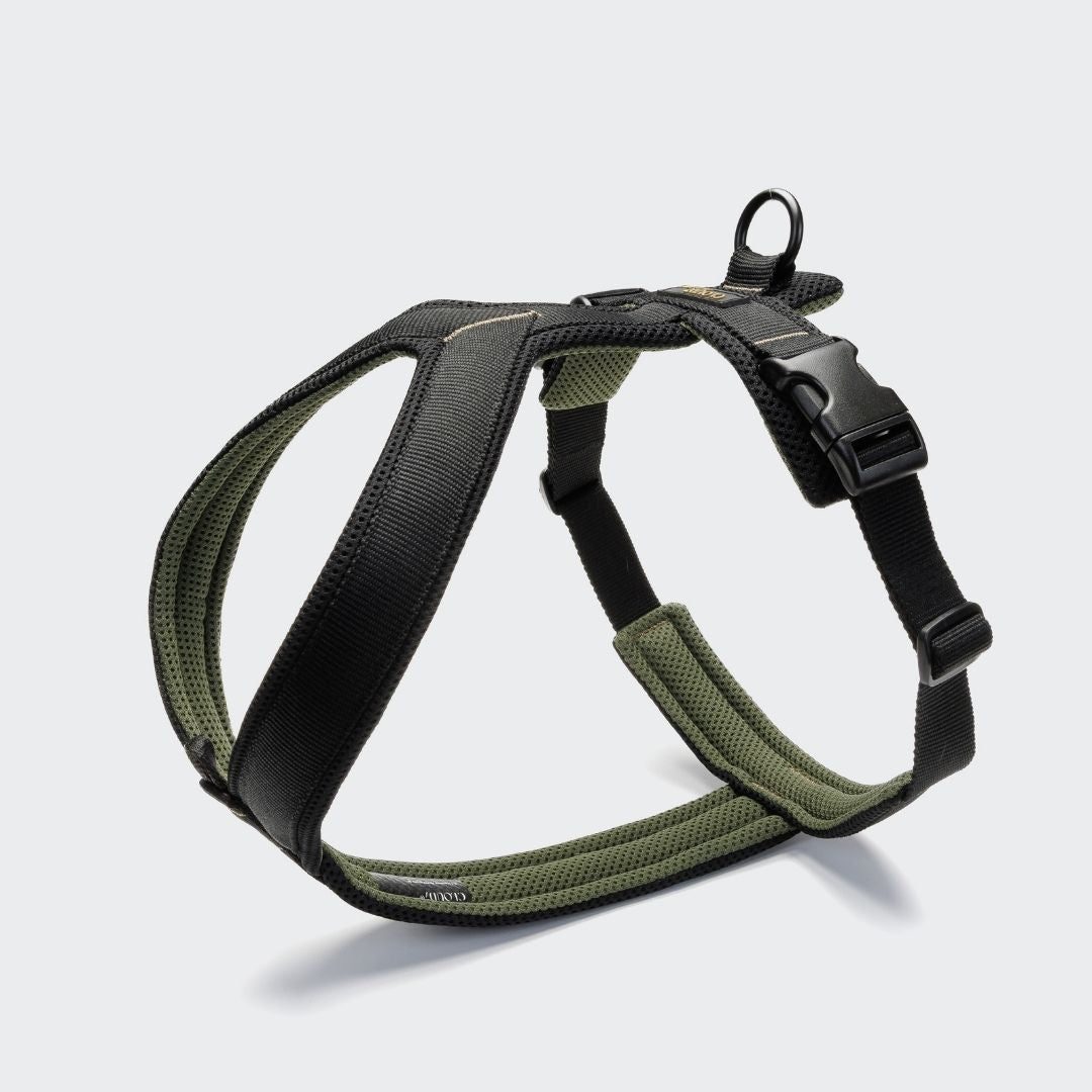 Cloud7-Y-1-Hundegeschirr-AKTIV-Air-Mesh-Black