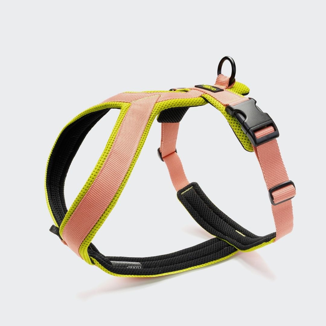 Cloud7-Y-1-Hundegeschirr-AKTIV-Air-Mesh-Peach-NeonGreen
