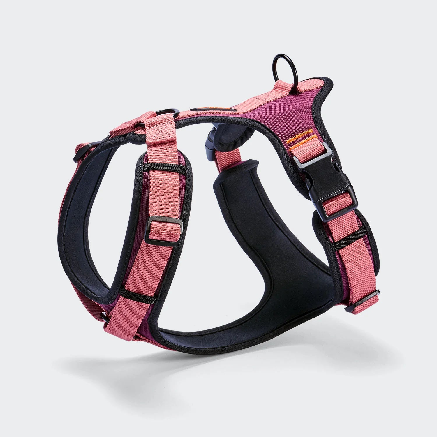 Cloud7-Y-3-Hundegeschirr-AKTIV-Softshell-Aubergine-SoftRose