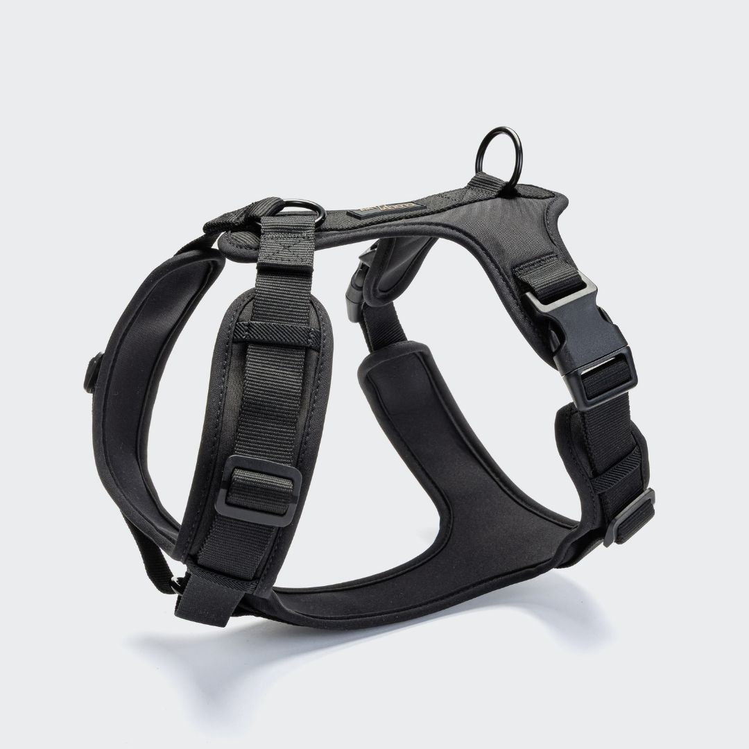 Cloud7-Y-3-Hundegeschirr-AKTIV-Softshell-Black