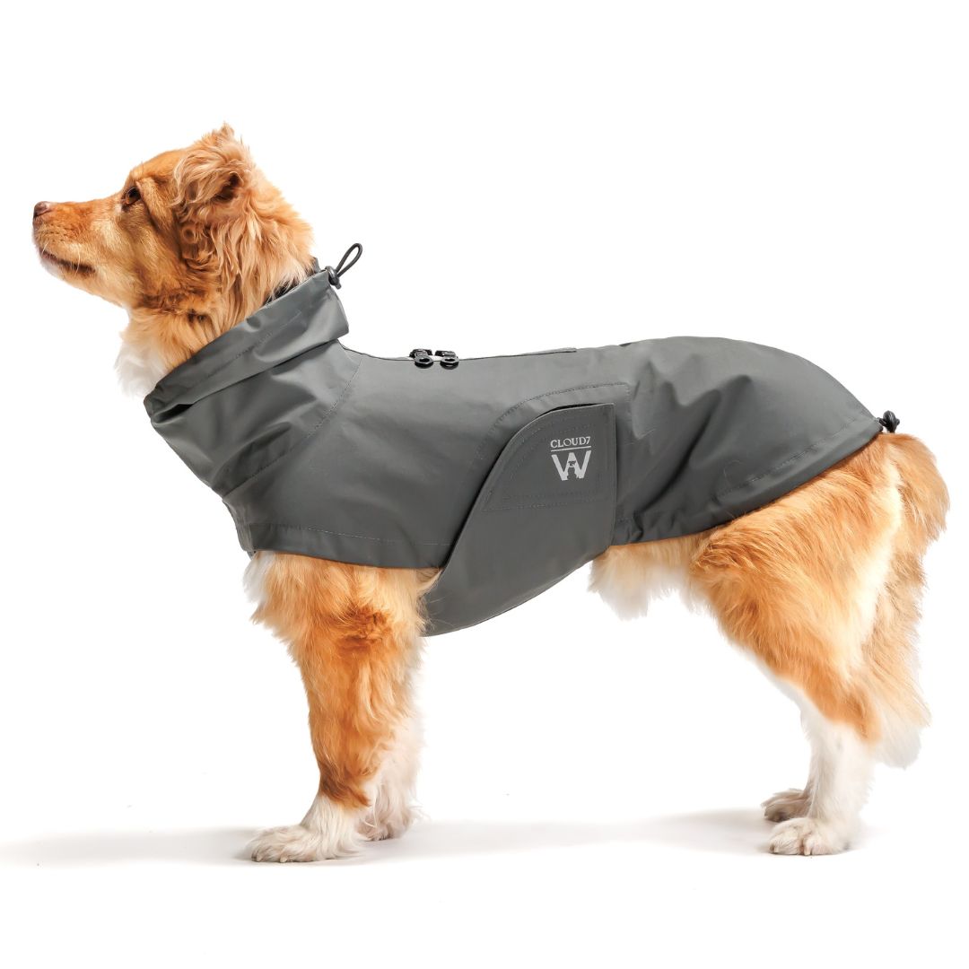 Cloud7xWoofstuff-Hunderegenmantel-Dublin-Platinum-Hund1