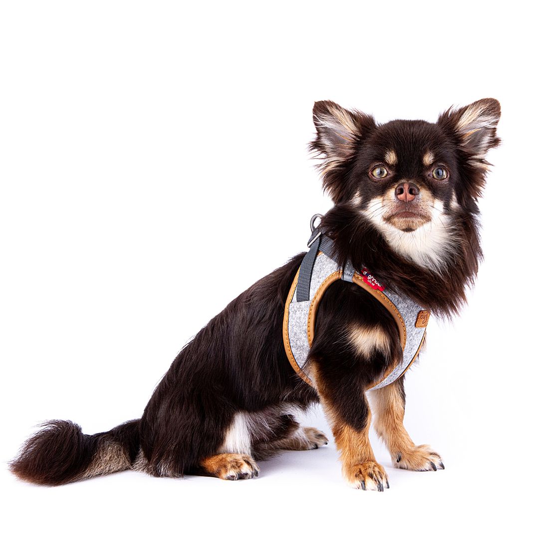 Curli-Hundegeschirr-Alpine-Clasp-Vest-Harness-Grey-2XS