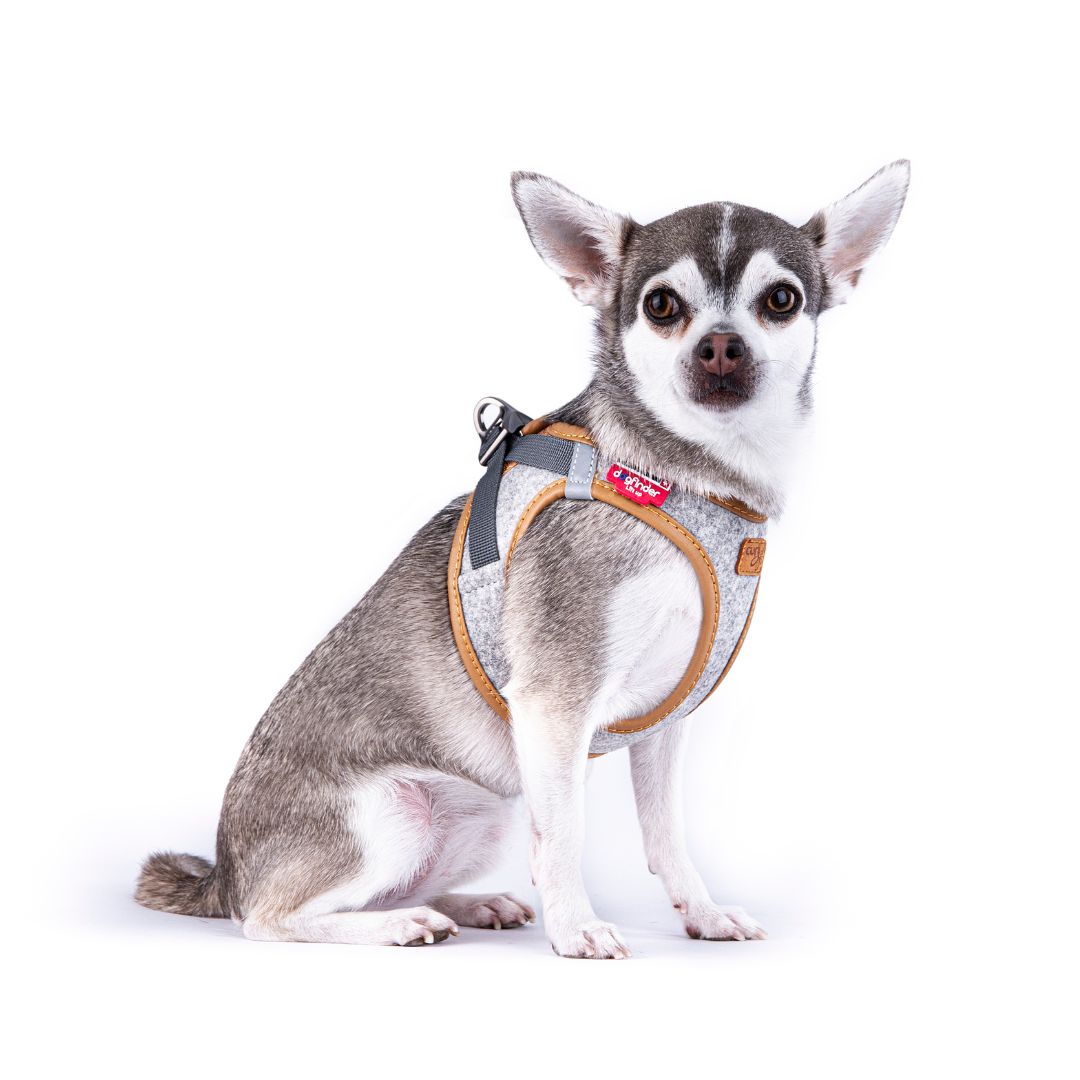 Curli-Hundegeschirr-Alpine-Clasp-Vest-Harness-Grey-3XS