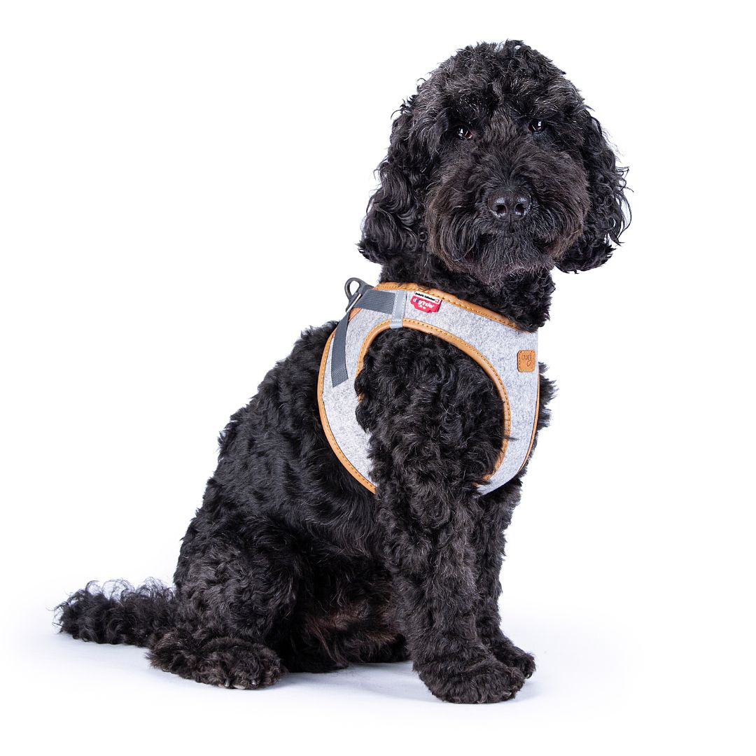 Curli-Hundegeschirr-Alpine-Clasp-Vest-Harness-Grey-M