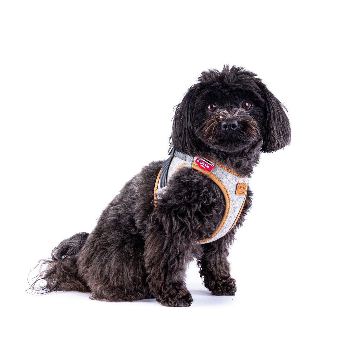 Curli-Hundegeschirr-Alpine-Clasp-Vest-Harness-Grey-XS