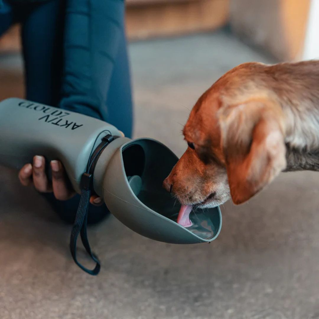 Hundetrinkflasche AKTIV Dark Olive