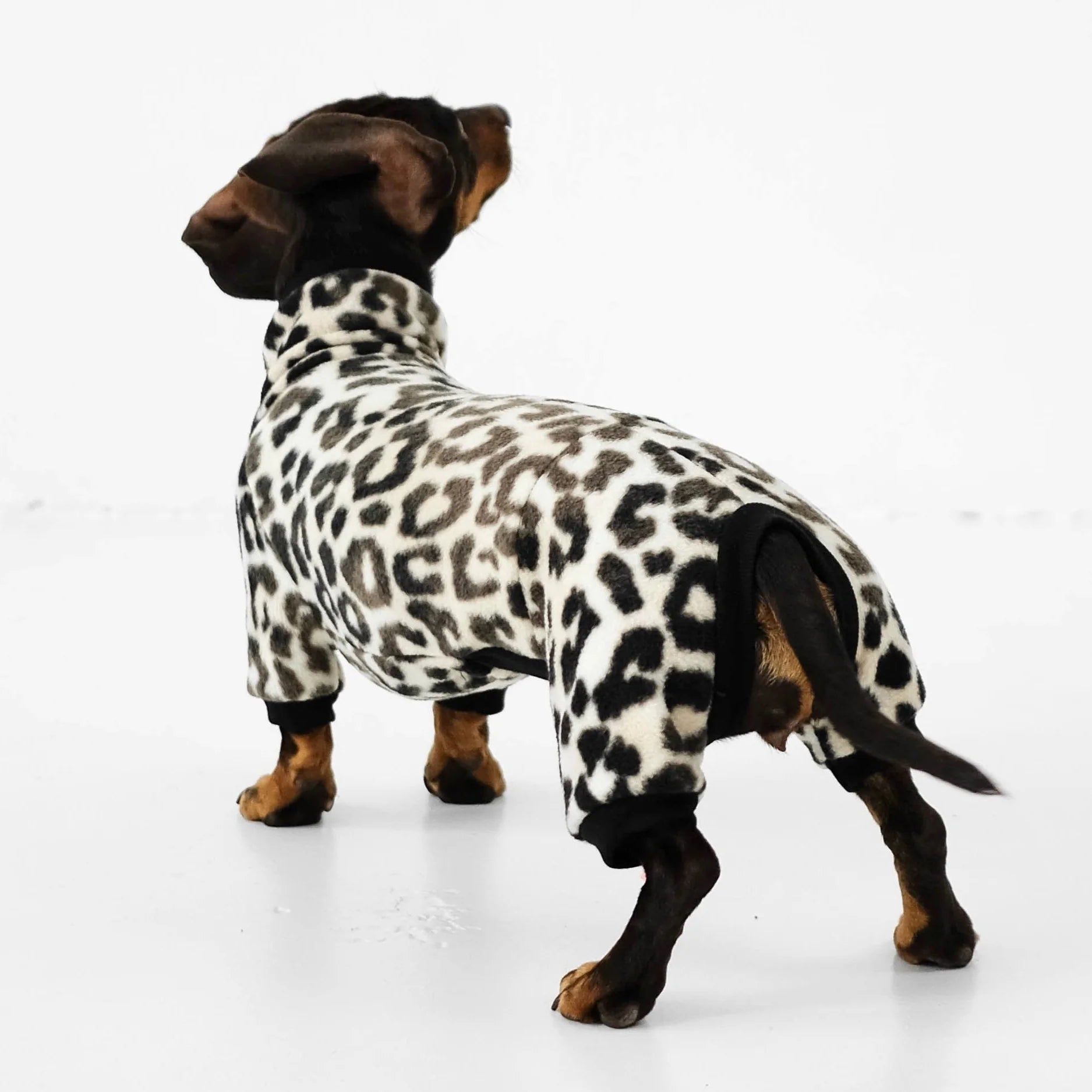 Karma-Hund-Hundepullover-Polar-Fleece-Overall-Dackel-Leo-Rückseite