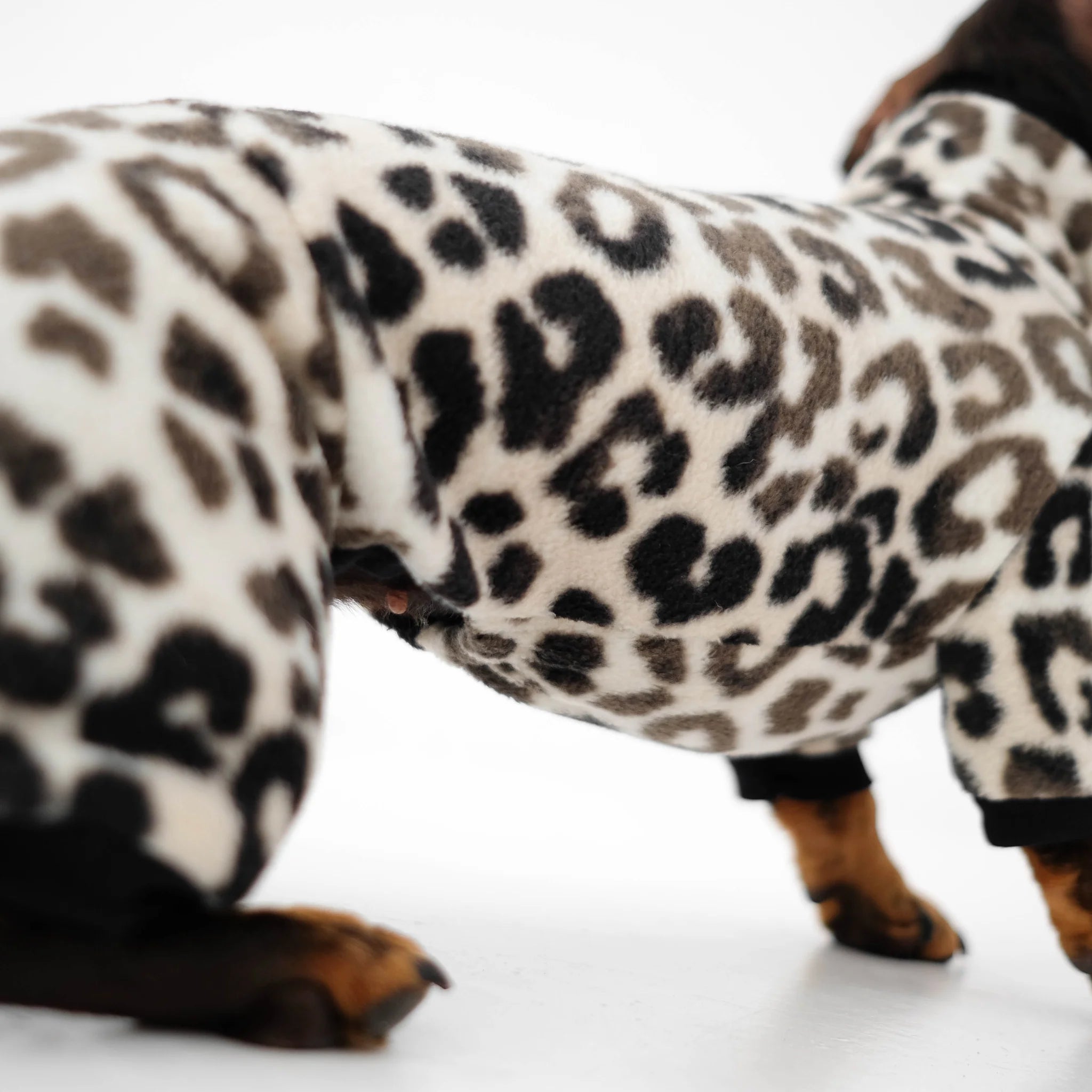 Karma-Hund-Hundepullover-Polar-Fleece-Overall-Dackel-Leo-Detail