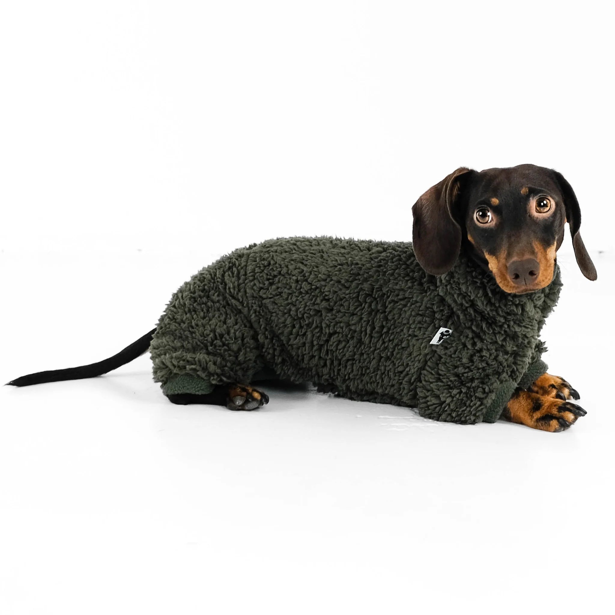 KarmaHund-Winter-Overall-Wellsoft-Olive-sitzend