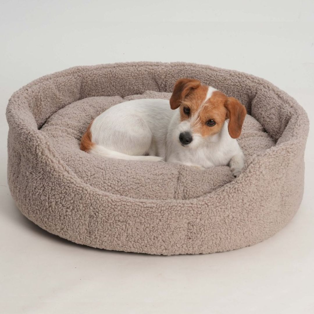 Dogs-In-The-City-Hundebett-Hundek_rbchen-Paddy-Gravel-Hund