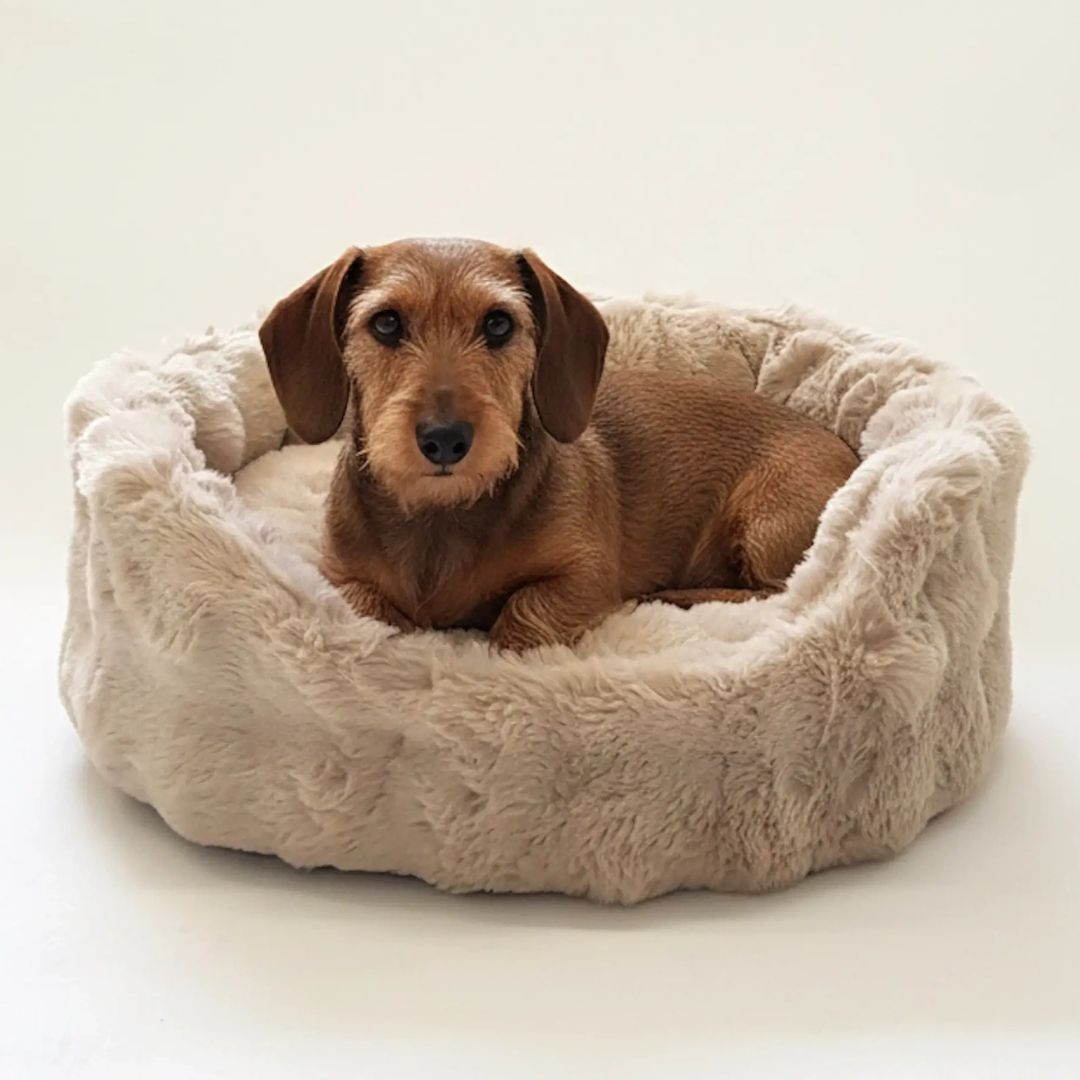 Dogs-In-The-City-Hundebett-Hundekoerbchen-Nomi-Gravel-Hund