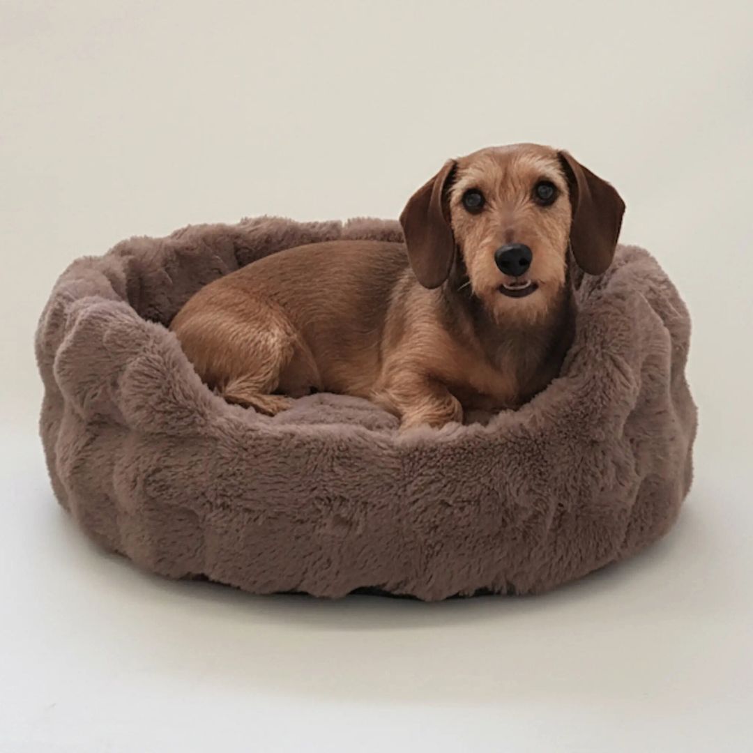 Dogs-In-The-City-Hundebett-Hundekoerbchen-Nomi-Nougat-Hund