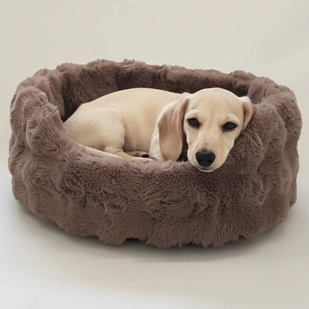 Dogs-In-The-City-Hundebett-Hundekoerbchen-Nomi-Nougat-Hund2