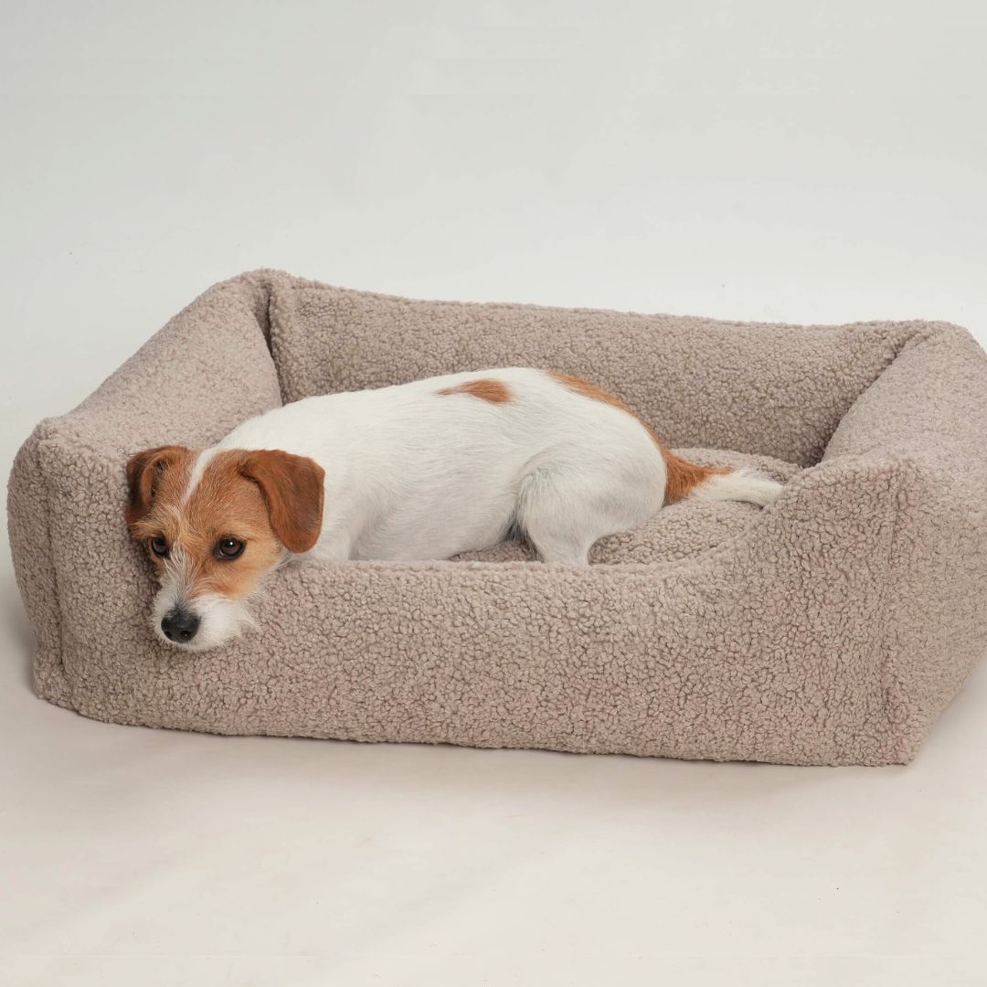 Dogs-in-the-City-Hundebett-Paddy-Gravel-Hund