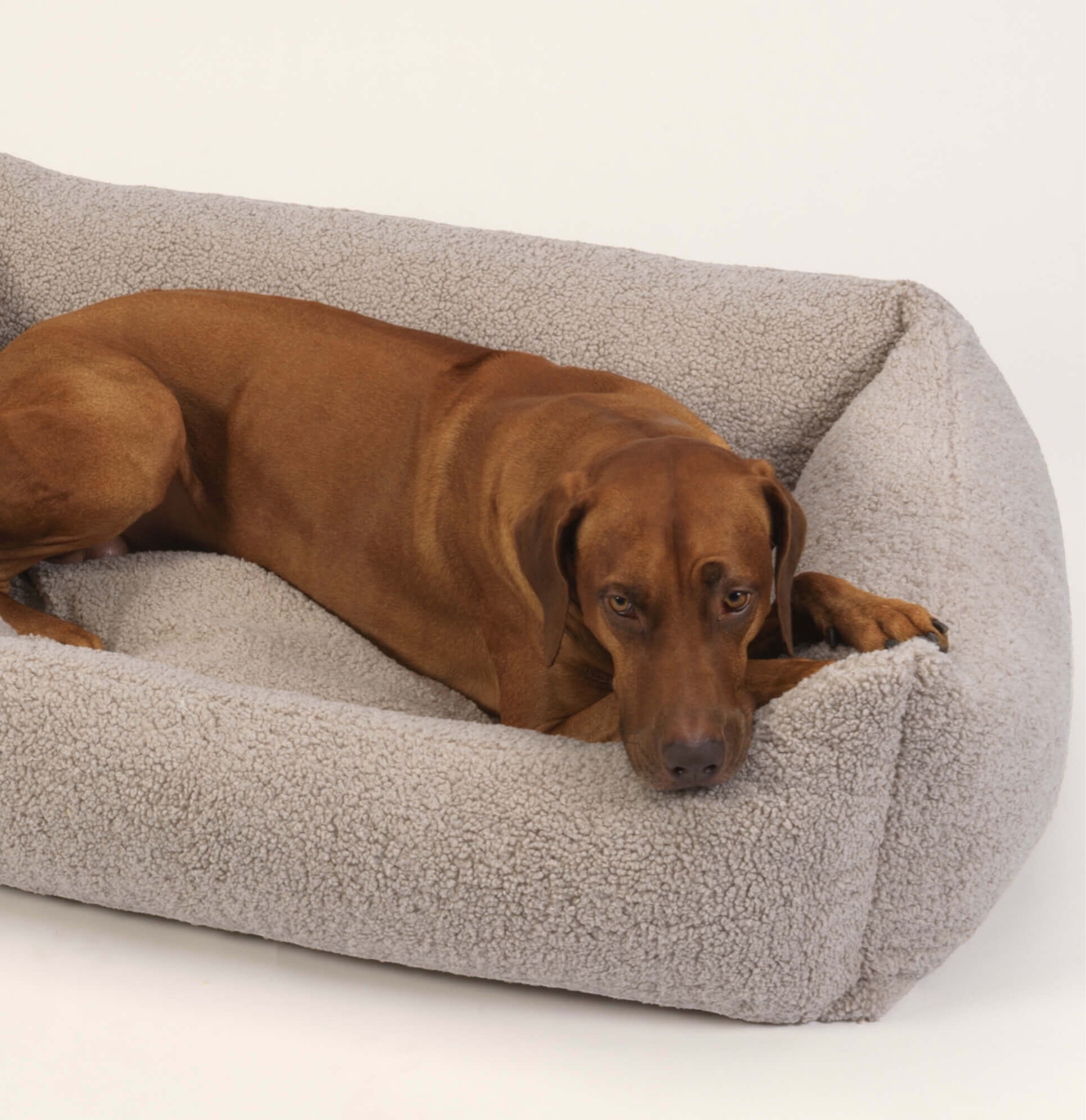 Dogs-in-the-City-Hundebett-Paddy-Gravel-Hund2