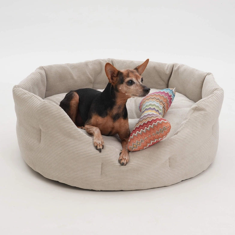 Dogs-in-the-City-Hundekörbchen-Chelsea-Cord-Gravel-Hund