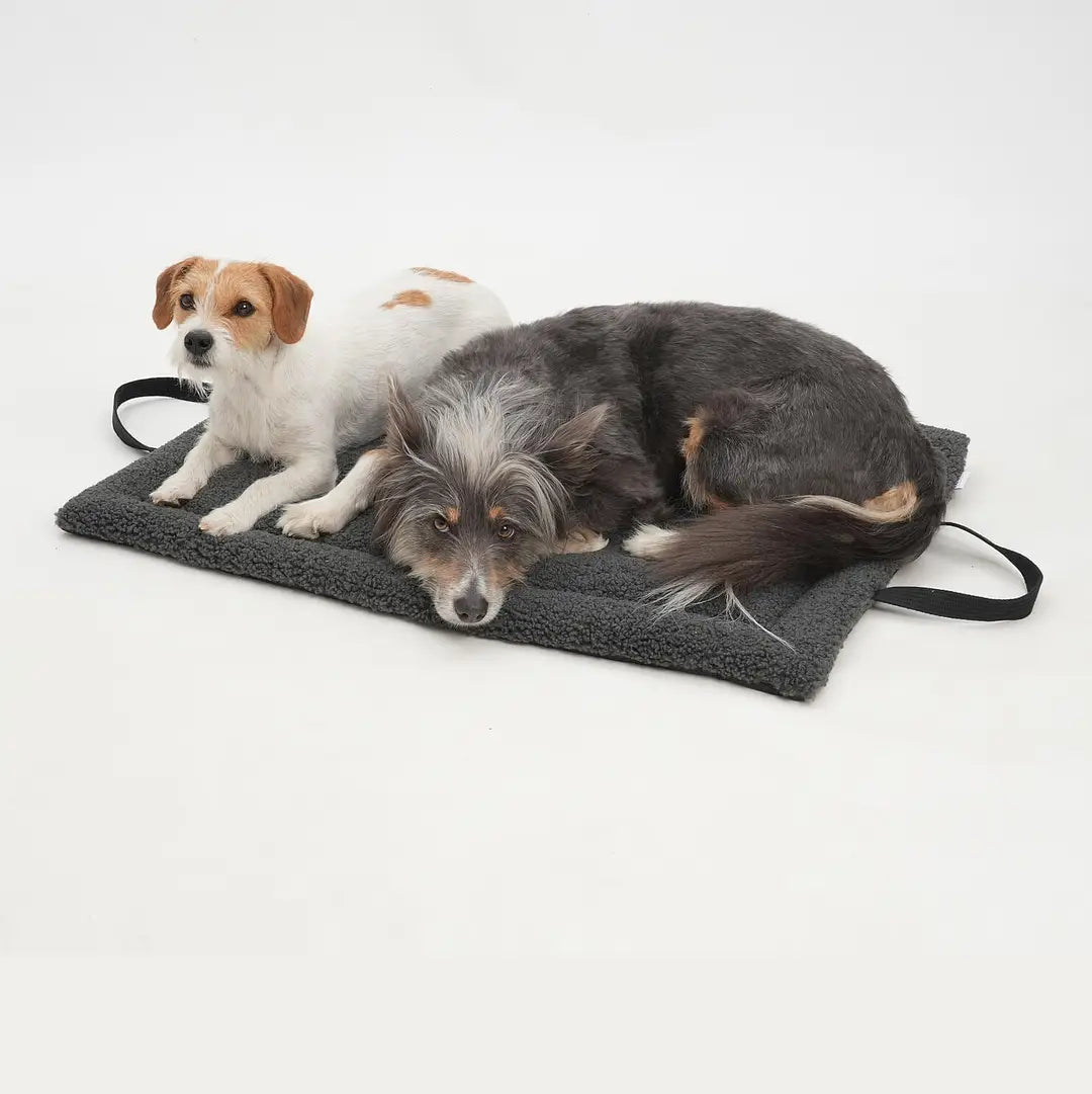 Dogs-in-the-City-Reisematte-Matti-Graphit-Hund