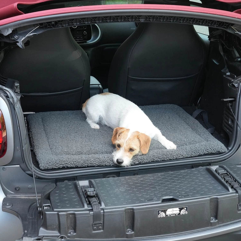 Dogs-in-the-City-Reisematte-Matti-Graphit-Mood