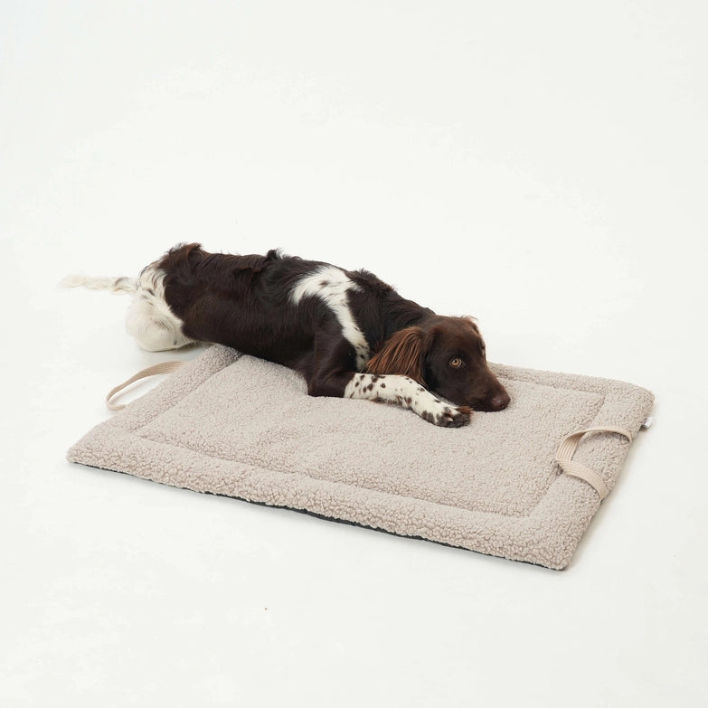 Dogs-in-the-City-Reisematte-Matti-Gravel-Hund