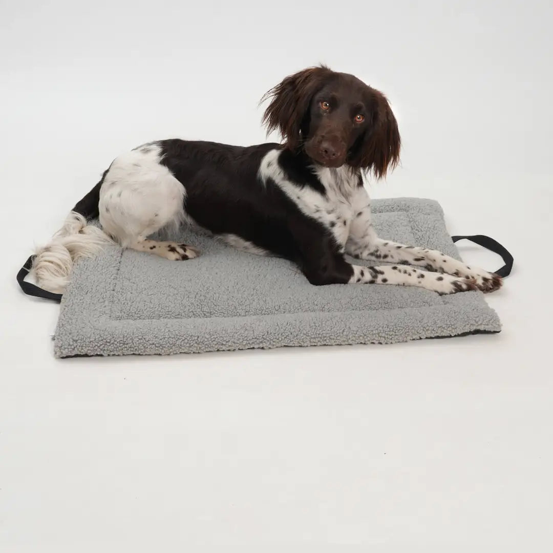 Dogs-in-the-City-Reisematte-Matti-Mouse-Hund