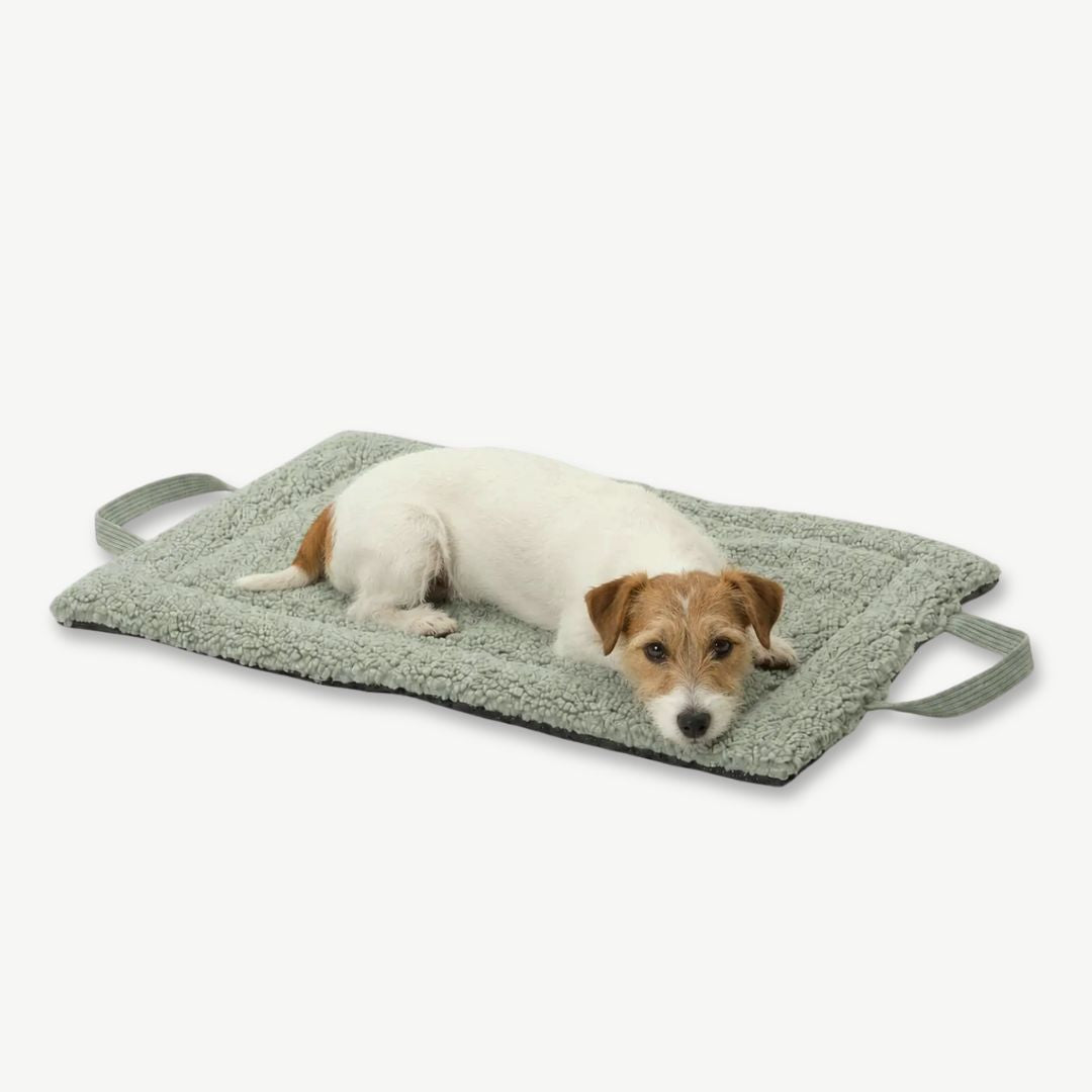 DogsInTheCity-Hundematte-Matti-Sage3