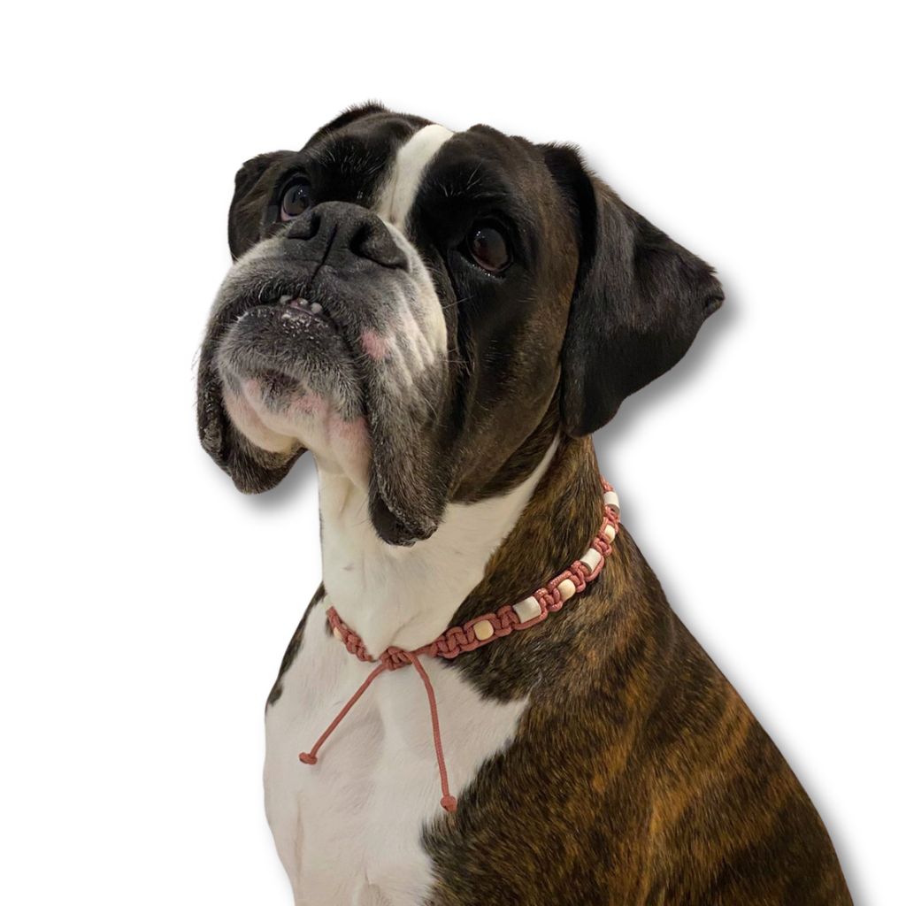 EM-Keramik-Halsband-Muted-Coral-1