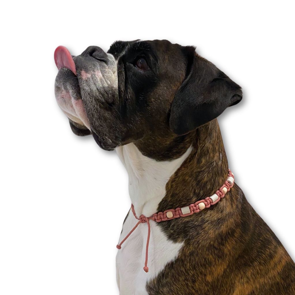 EM-Keramik-Halsband-Muted-Coral-5